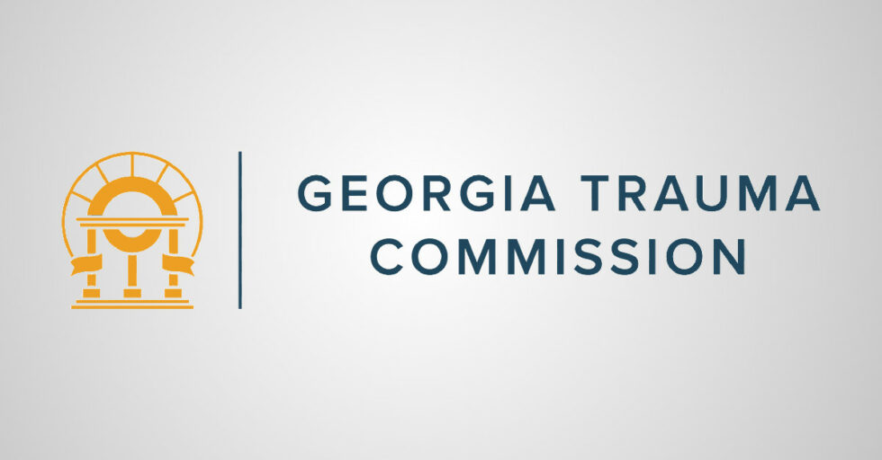 Georgia Trauma Commission Hires Lenz for Marketing Services - Lenz ...